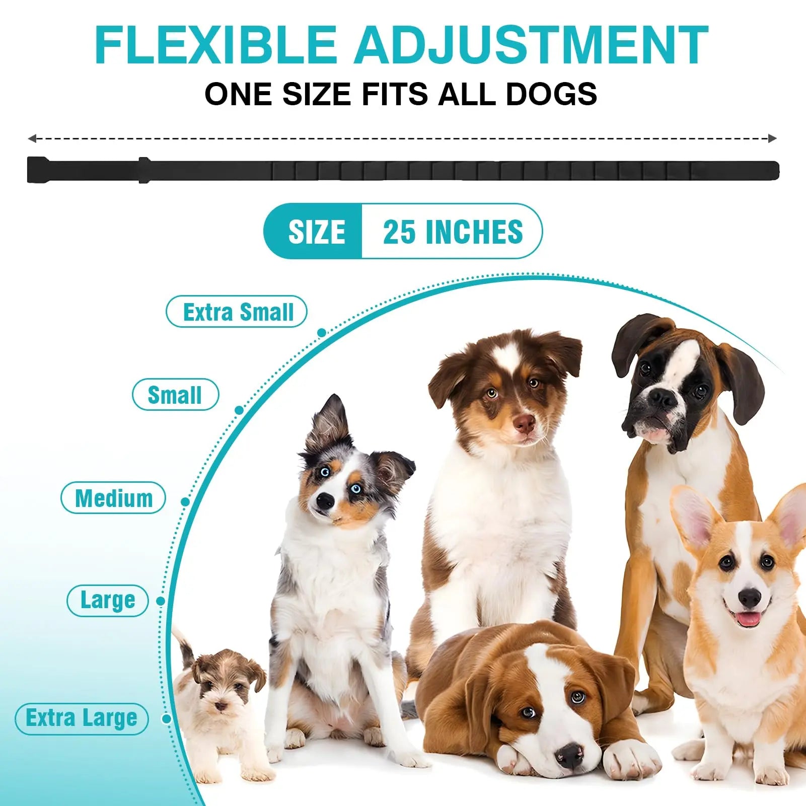 Pet Pulse Calming Collar for Dogs 6 Packs Dog Calming Pheromones Collar Separation Anxiety and Stress Relief anti Anxiety 60 Days Calm Pheromone Collars for Small Medium Large Dogs 25 Inch Adjustable Waterproof Summervibes