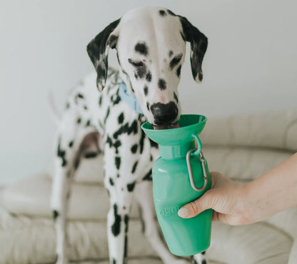 Springer 22Oz. Classic Leak-Tight Travel Pet Water Bottle