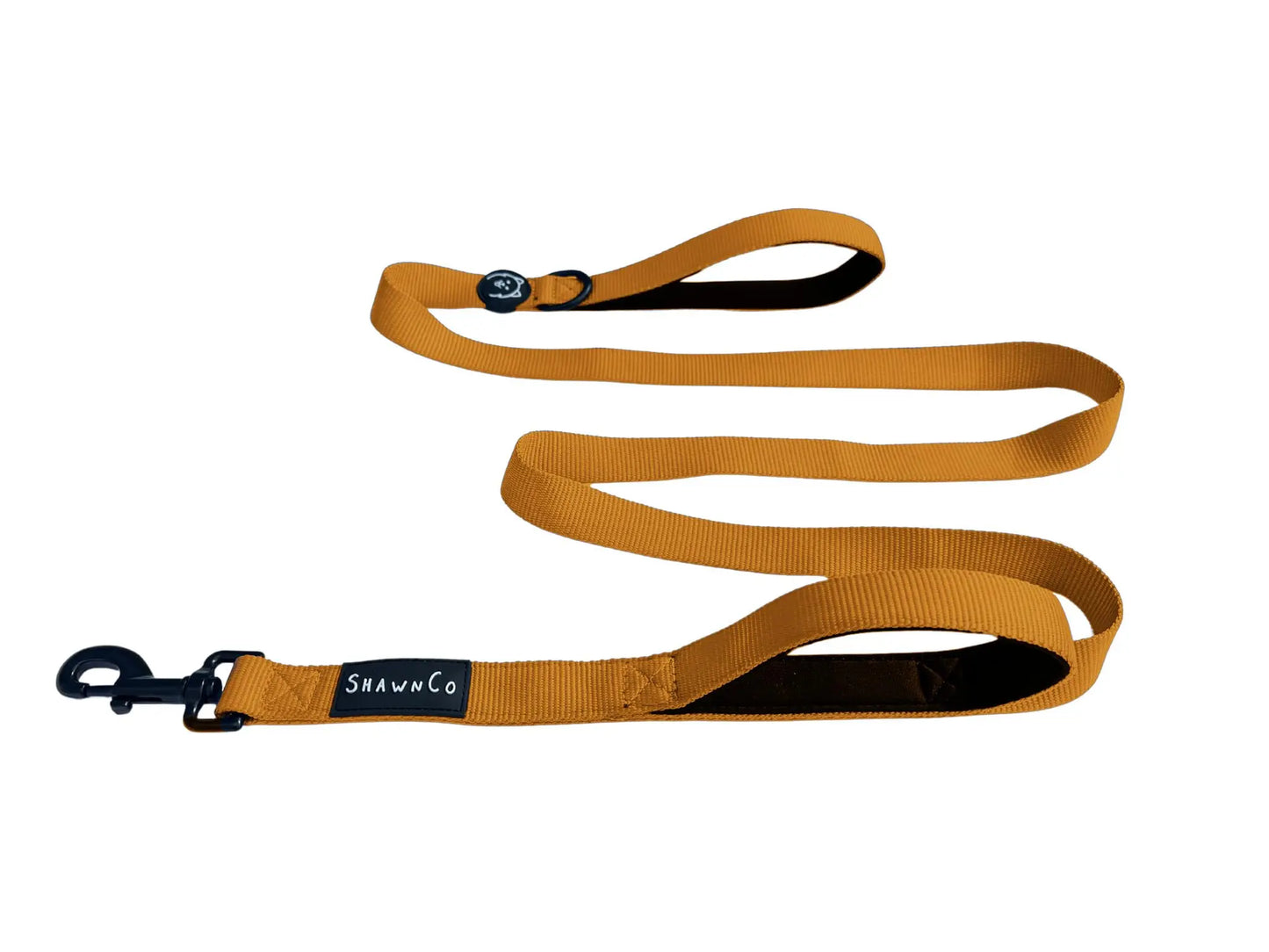 Shawnco | Dream Walk Dog Leash- Premium, Nylon Pet Leash with Soft Neoprene Handle for Small, Medium and Large Dogs