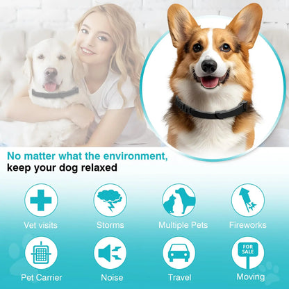 Pet Pulse Calming Collar for Dogs 6 Packs Dog Calming Pheromones Collar Separation Anxiety and Stress Relief anti Anxiety 60 Days Calm Pheromone Collars for Small Medium Large Dogs 25 Inch Adjustable Waterproof Summervibes