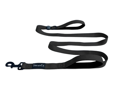 Shawnco | Dream Walk Dog Leash- Premium, Nylon Pet Leash with Soft Neoprene Handle for Small, Medium and Large Dogs