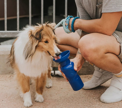 Springer 22Oz. Classic Leak-Tight Travel Pet Water Bottle