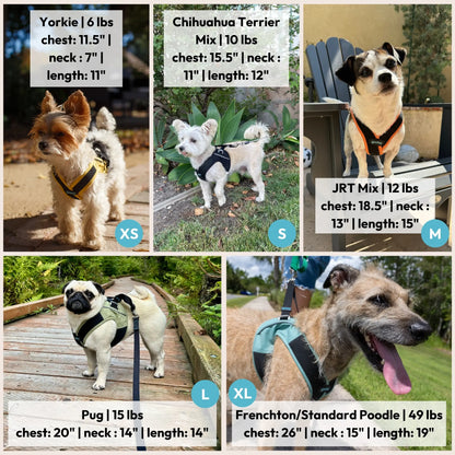 Gooby: Easy Fit X Dog Harness | Best No Escape & Choke-Free Step-In Dog Harness for Tiny Toy Breeds (XS), Small & Medium Dogs. Reflective | Lightweight | Moisture Wicking | Easy to Put on | Step in Design | Machine Washable