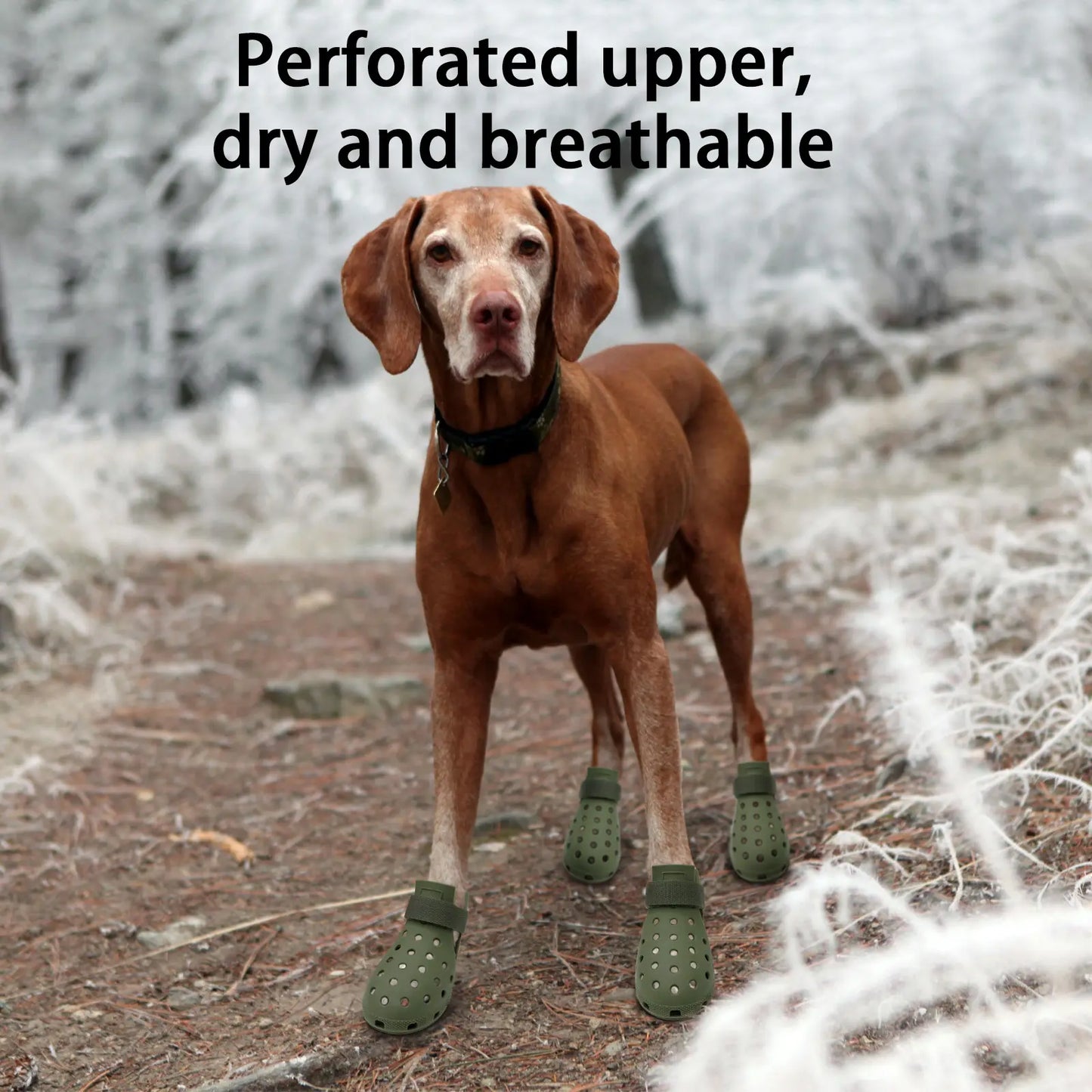 Breathable Pet Shoes, 4 Counts/Set Non-Slip Pet Shoes, Comfortable Pet Paws Protective Shoes, Pet Supplies for All Seasons