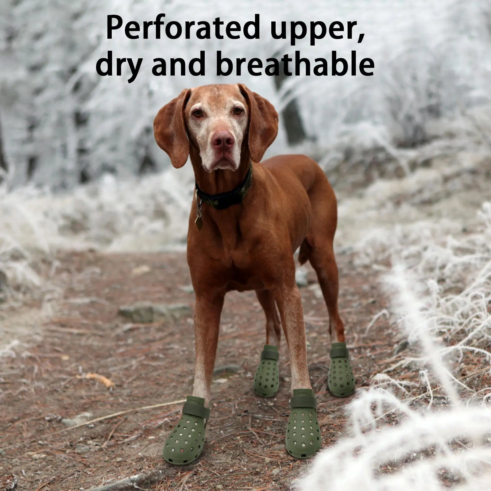 Breathable Pet Shoes, 4 Counts/Set Non-Slip Pet Shoes, Comfortable Pet Paws Protective Shoes, Pet Supplies for All Seasons