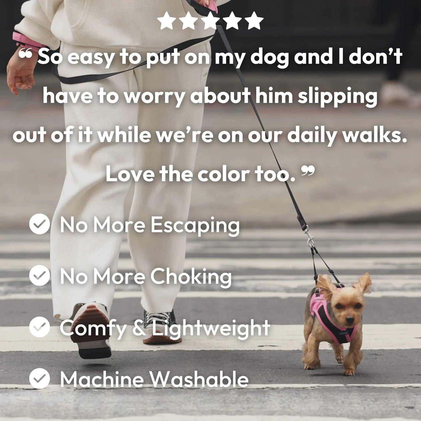 Gooby: Easy Fit X Dog Harness | Best No Escape & Choke-Free Step-In Dog Harness for Tiny Toy Breeds (XS), Small & Medium Dogs. Reflective | Lightweight | Moisture Wicking | Easy to Put on | Step in Design | Machine Washable