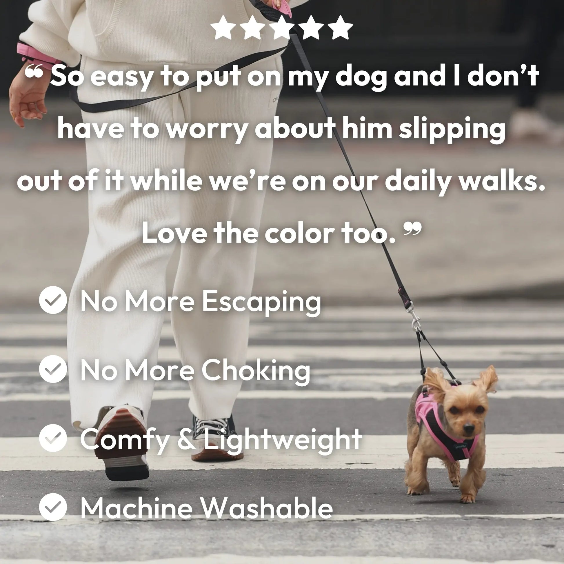 Gooby: Easy Fit X Dog Harness | Best No Escape & Choke-Free Step-In Dog Harness for Tiny Toy Breeds (XS), Small & Medium Dogs. Reflective | Lightweight | Moisture Wicking | Easy to Put on | Step in Design | Machine Washable