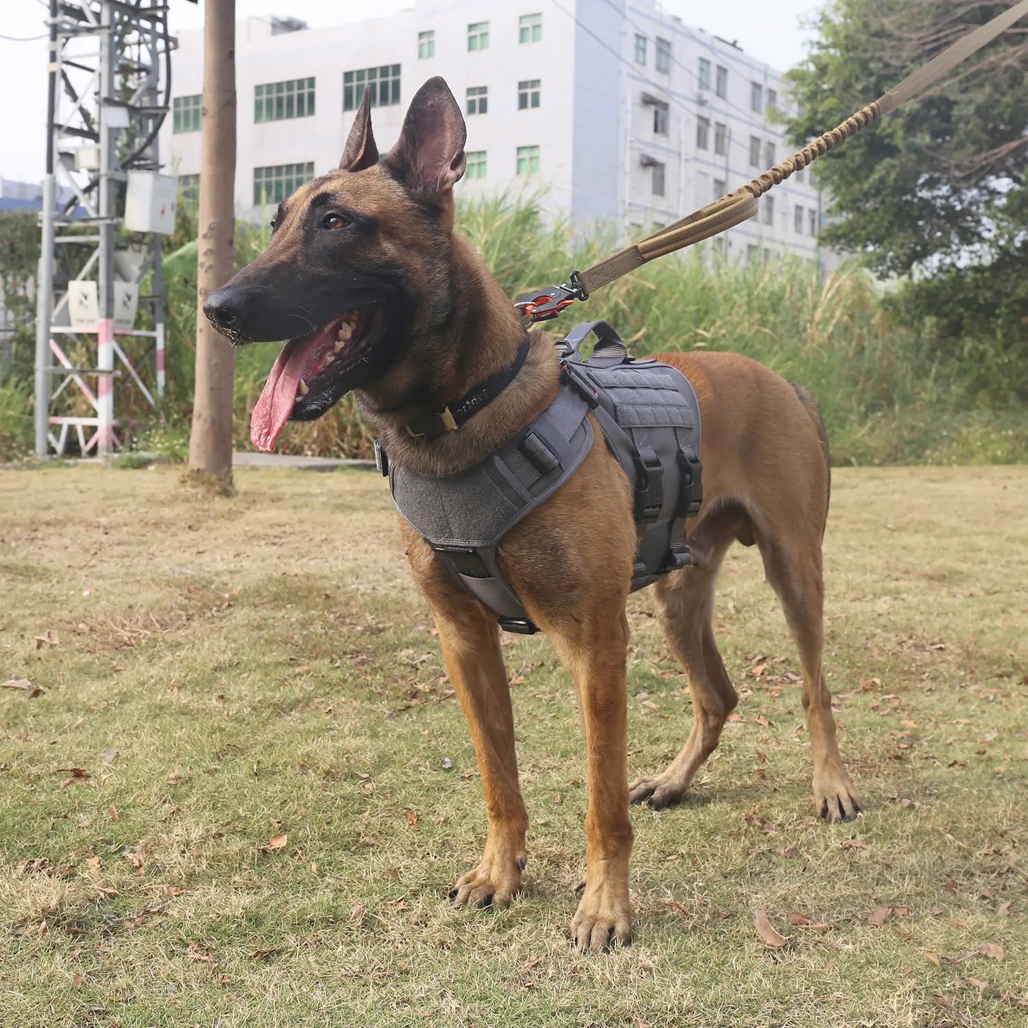 ICEFANG GN3 Tactical Dog Harness with 6X Buckle,Dog Molle Vest with Handle,3/4 Body Coverage,Hook and Loop Panel for ID Patch,No Pulling Front Clip