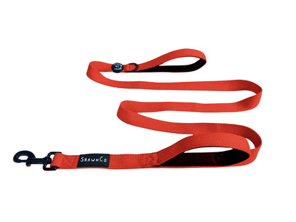 Shawnco | Dream Walk Dog Leash- Premium, Nylon Pet Leash with Soft Neoprene Handle for Small, Medium and Large Dogs