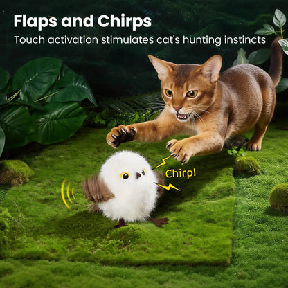 Potaroma Flapping Bird Cat Toy – Lifelike Chirping & Tweeting Interactive Catnip Toy, Rechargeable & Touch Activated, Perfect Exercise Toy for Kittens and Cats of All Breeds (5.1" – Cuckoo) #Summervibes #Petlovers