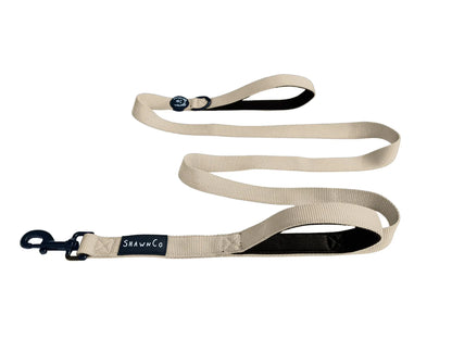Shawnco | Dream Walk Dog Leash- Premium, Nylon Pet Leash with Soft Neoprene Handle for Small, Medium and Large Dogs