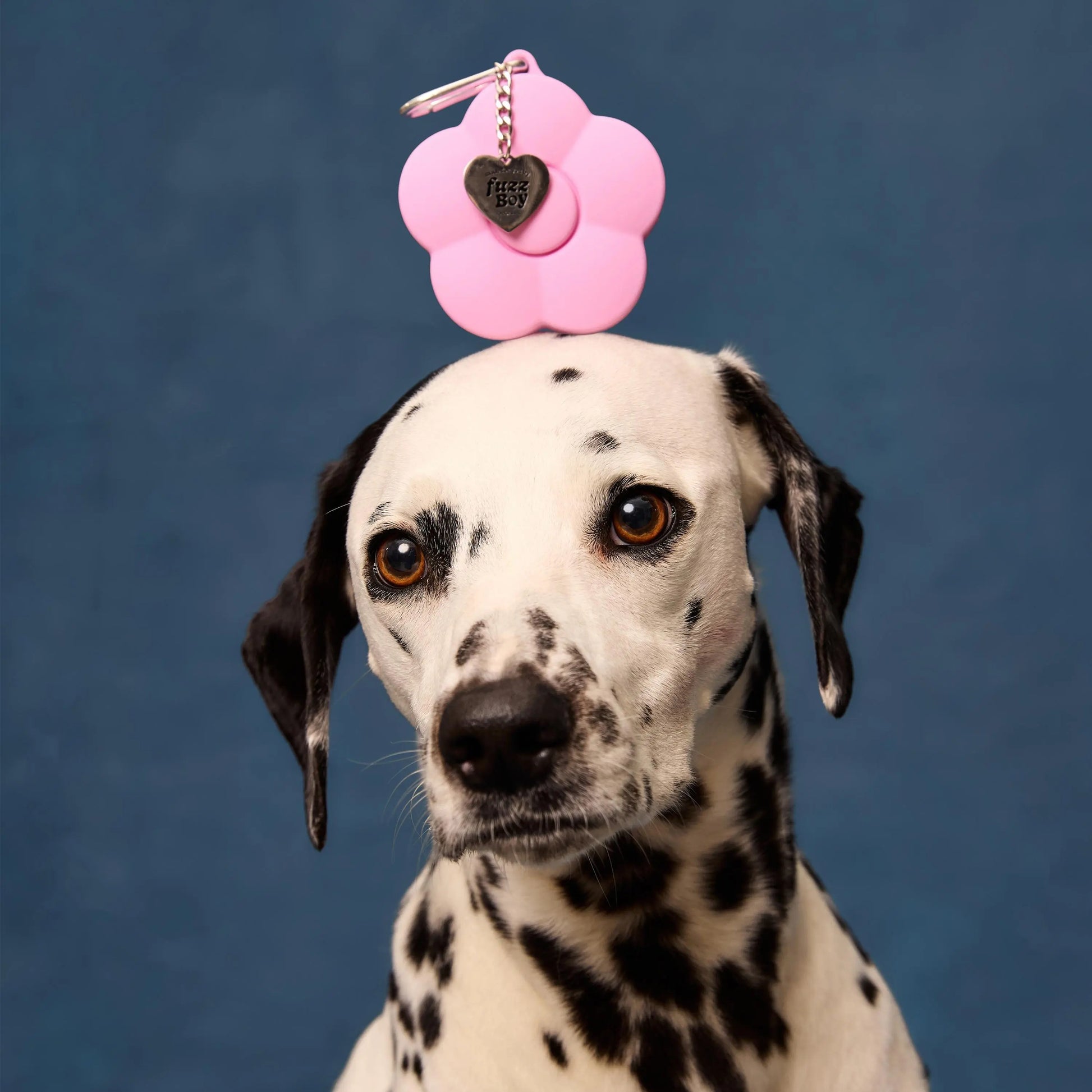 Fuzzboy Originals | Silicone Flower Dog Treat Pouch Keychain – Pink & Yellow
