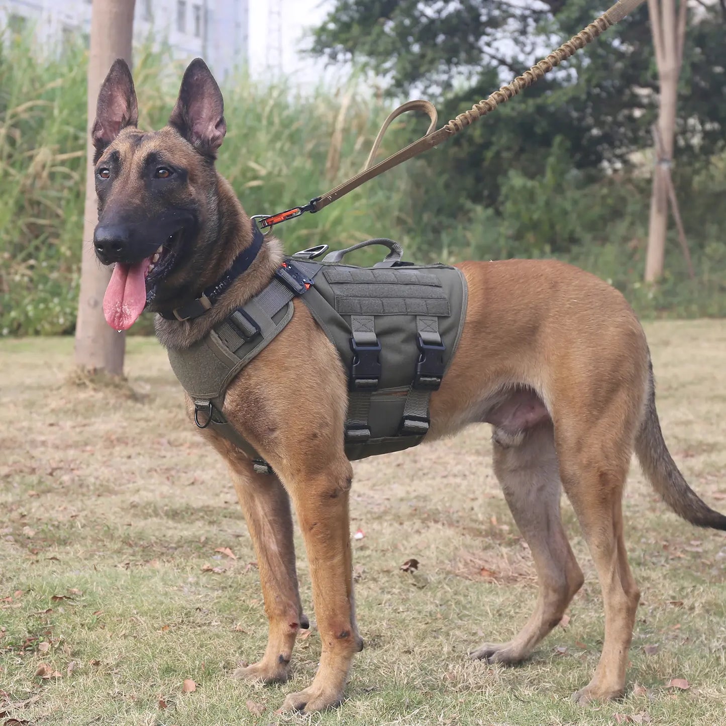 ICEFANG GN3 Tactical Dog Harness with 6X Buckle,Dog Molle Vest with Handle,3/4 Body Coverage,Hook and Loop Panel for ID Patch,No Pulling Front Clip