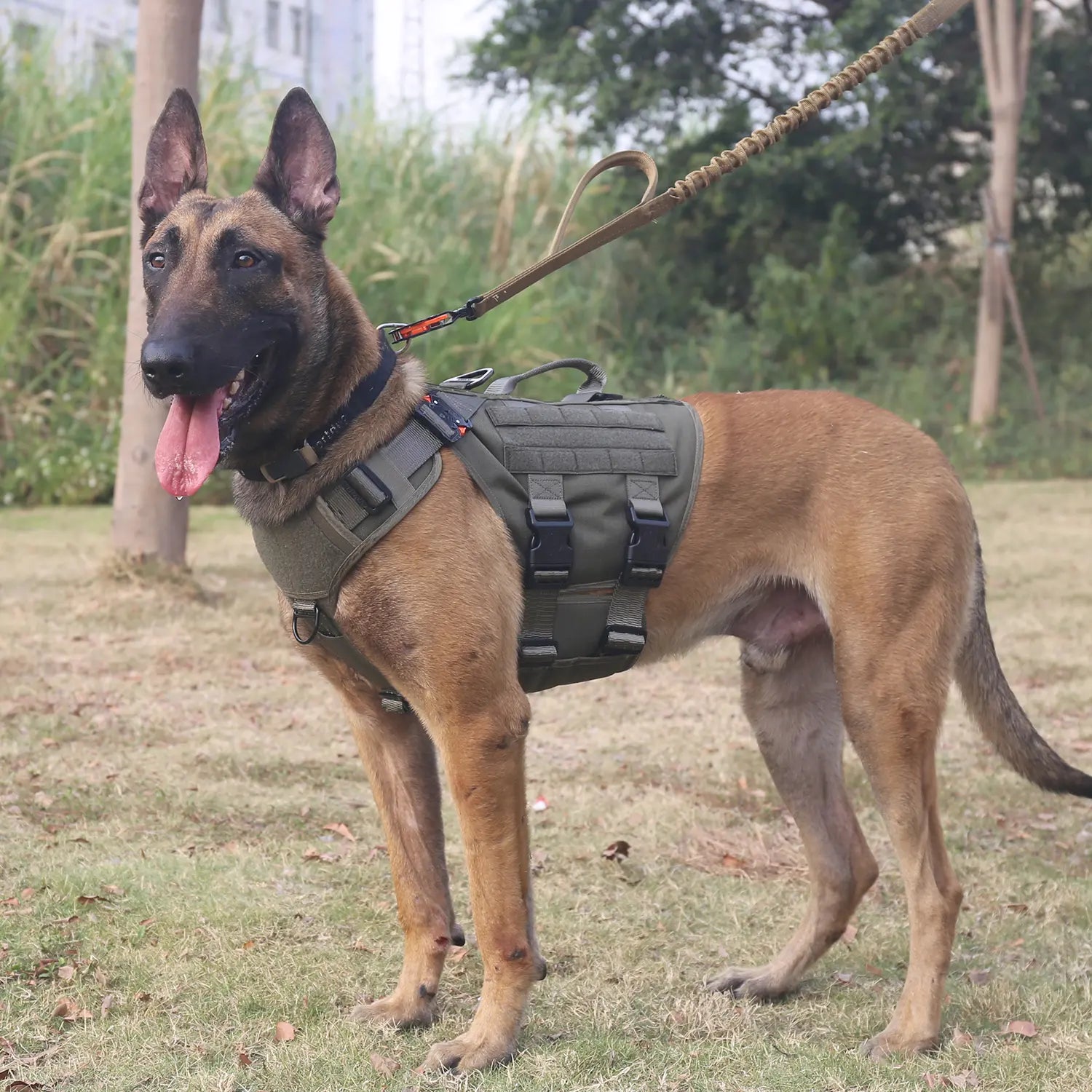 ICEFANG GN3 Tactical Dog Harness with 6X Buckle,Dog Molle Vest with Handle,3/4 Body Coverage,Hook and Loop Panel for ID Patch,No Pulling Front Clip