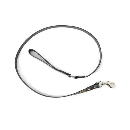 Scenic Sunflower Leash