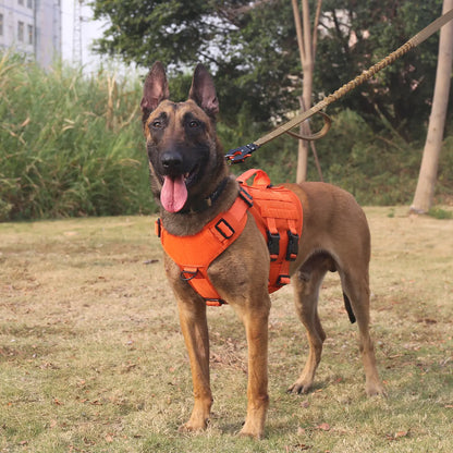 ICEFANG GN3 Tactical Dog Harness with 6X Buckle,Dog Molle Vest with Handle,3/4 Body Coverage,Hook and Loop Panel for ID Patch,No Pulling Front Clip