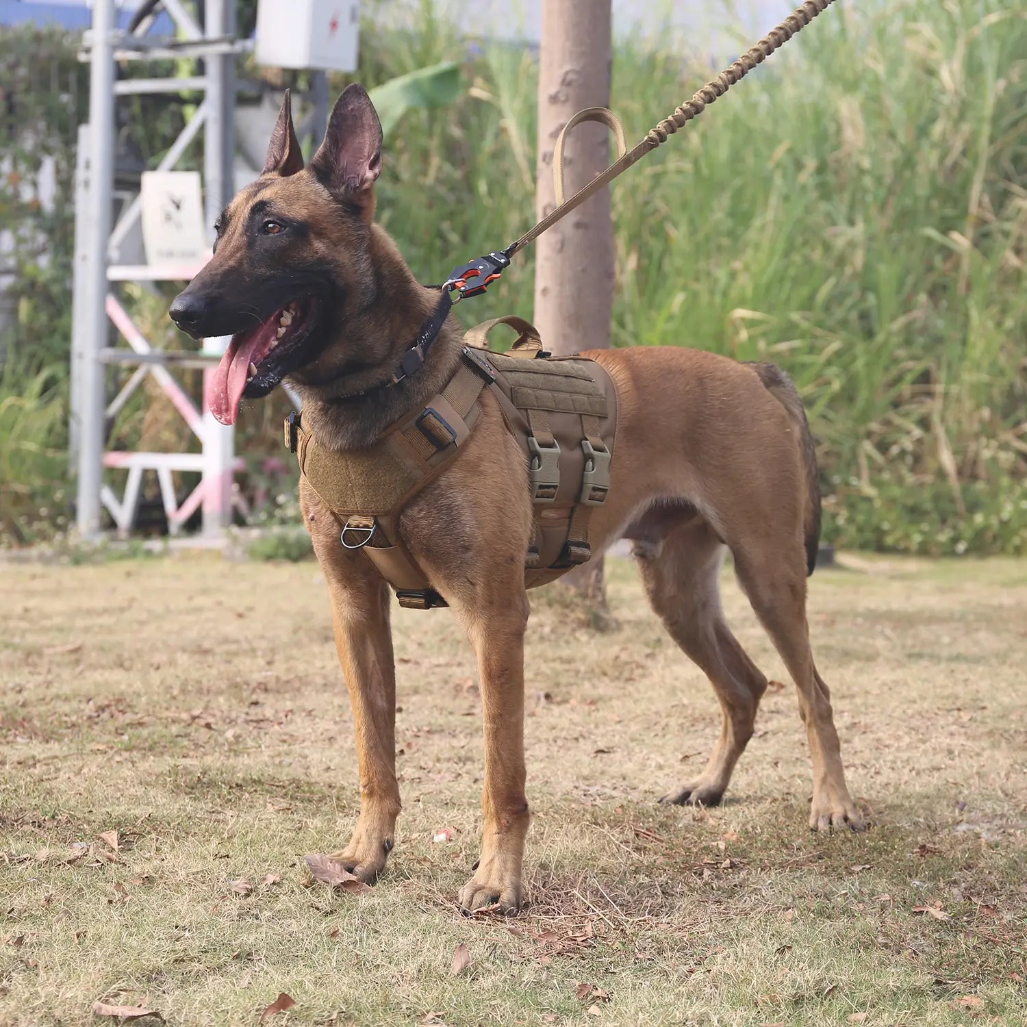 ICEFANG GN3 Tactical Dog Harness with 6X Buckle,Dog Molle Vest with Handle,3/4 Body Coverage,Hook and Loop Panel for ID Patch,No Pulling Front Clip