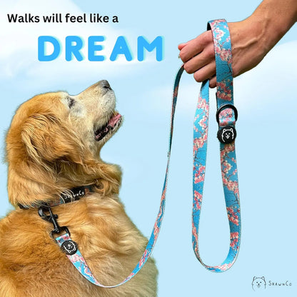 Shawnco | Dream Walk Dog Leash- Premium, Nylon Pet Leash with Soft Neoprene Handle for Small, Medium and Large Dogs