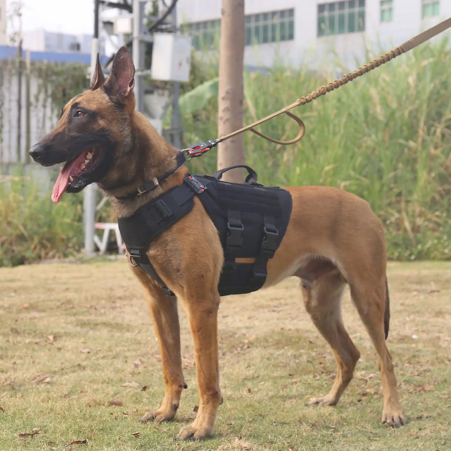 ICEFANG GN3 Tactical Dog Harness with 6X Buckle,Dog Molle Vest with Handle,3/4 Body Coverage,Hook and Loop Panel for ID Patch,No Pulling Front Clip
