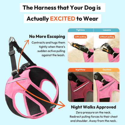 Gooby: Easy Fit X Dog Harness | Best No Escape & Choke-Free Step-In Dog Harness for Tiny Toy Breeds (XS), Small & Medium Dogs. Reflective | Lightweight | Moisture Wicking | Easy to Put on | Step in Design | Machine Washable