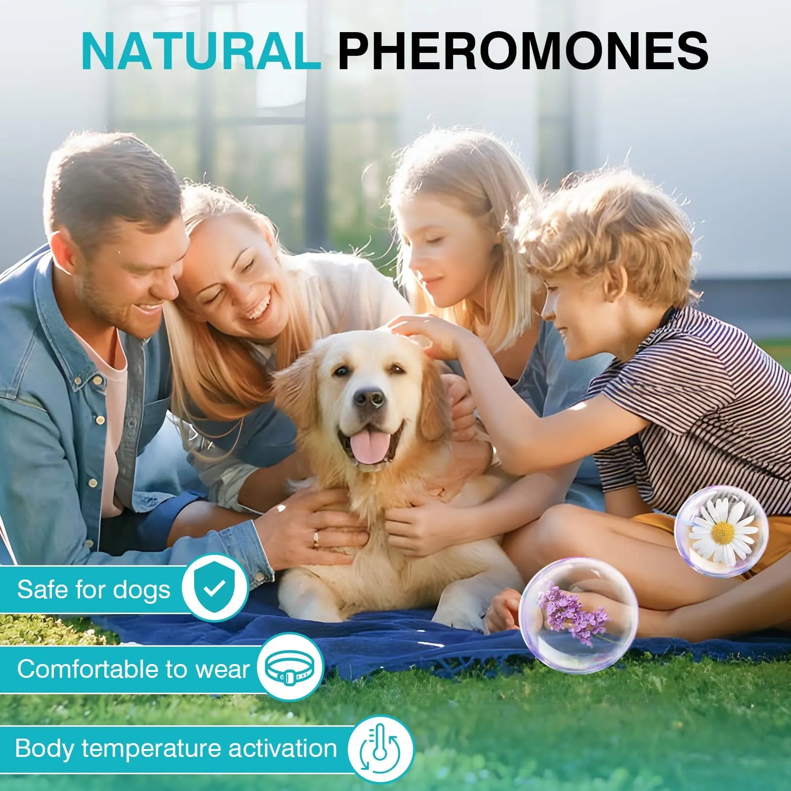 Pet Pulse Calming Collar for Dogs 6 Packs Dog Calming Pheromones Collar Separation Anxiety and Stress Relief anti Anxiety 60 Days Calm Pheromone Collars for Small Medium Large Dogs 25 Inch Adjustable Waterproof Summervibes