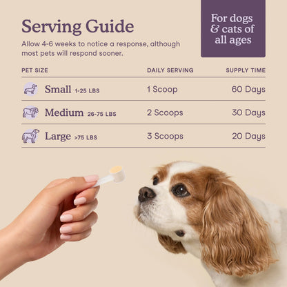 Fera Pets Calming Support for Dogs & Cats – Vet‑Formulated Supplement with L‑Theanine, GABA, Ashwagandha & Probiotics
