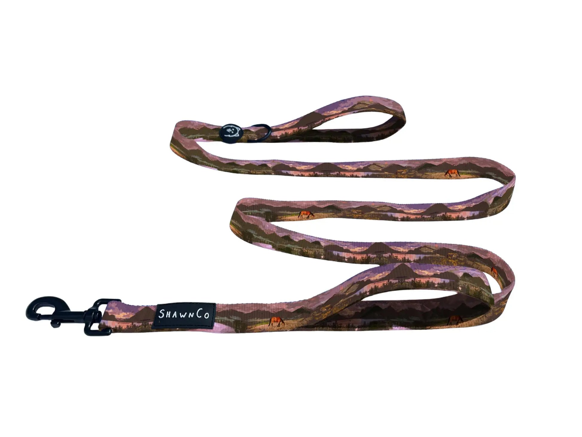 Shawnco | Dream Walk Dog Leash- Premium, Nylon Pet Leash with Soft Neoprene Handle for Small, Medium and Large Dogs