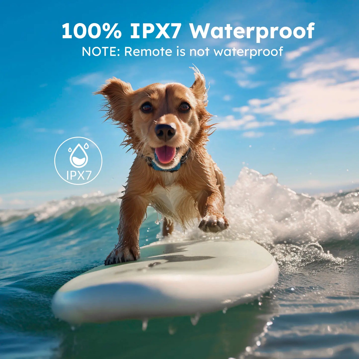 Jugbow Dog Collar - 4200FT Dog Collar with Remote, IPX8 Waterproof Electric Collar with 4 Training Modes, Outdoor Rechargeable E-Collar-Dt68 #Summervibes #Petlovers