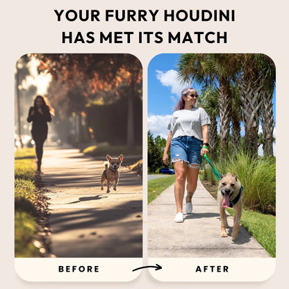 Gooby: Easy Fit X Dog Harness | Best No Escape & Choke-Free Step-In Dog Harness for Tiny Toy Breeds (XS), Small & Medium Dogs. Reflective | Lightweight | Moisture Wicking | Easy to Put on | Step in Design | Machine Washable