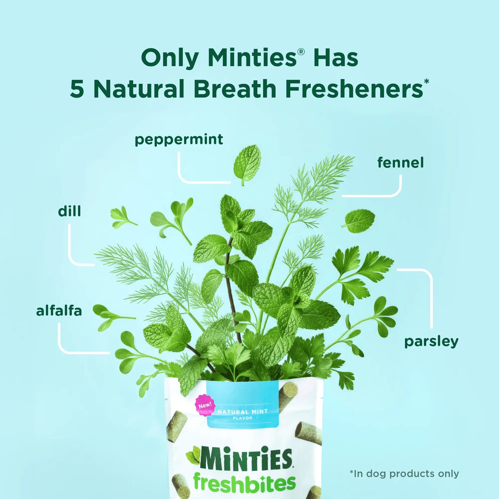 Minties Freshbites Soft and Chewy Dental Treats for Dogs, Low Calorie Natural Mint Flavored Dental Chews for Dogs, 100 Count, Chews Clean Teeth, Fight Bad Breath, and Removes Plaque and Tartar