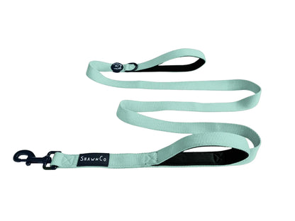 Shawnco | Dream Walk Dog Leash- Premium, Nylon Pet Leash with Soft Neoprene Handle for Small, Medium and Large Dogs