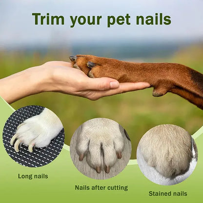 Summervibes Professional 2-in-1 Electric Nail Clipper and Grinder for Pets - Ultra Quiet, Rechargeable, and Efficient for Dogs and Cats of All Sizes